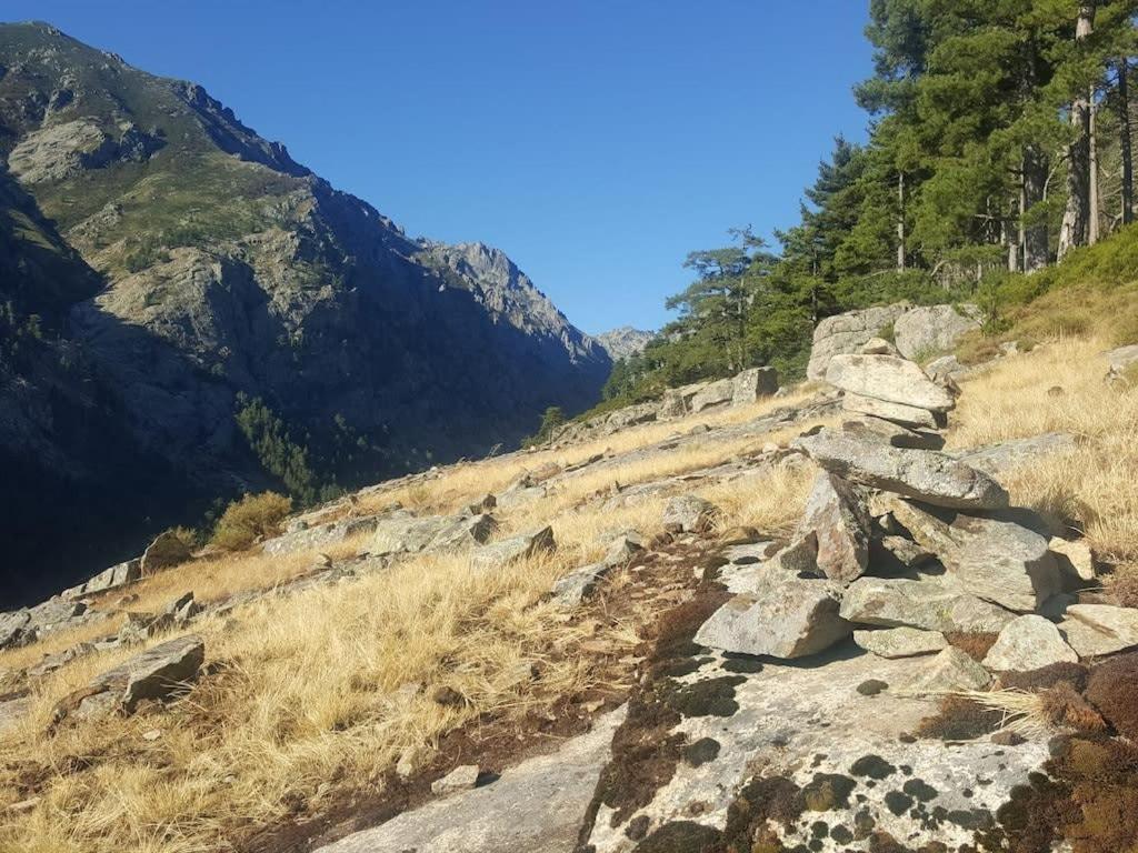 Casa Torra Διαμέρισμα Omessa Εξωτερικό φωτογραφία